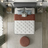 MOSCOW  DIVAN BED